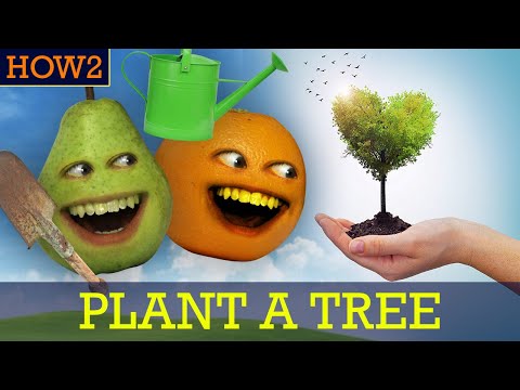 HOW2：木を植えるには？ (HOW2: How to Plant a Tree!)