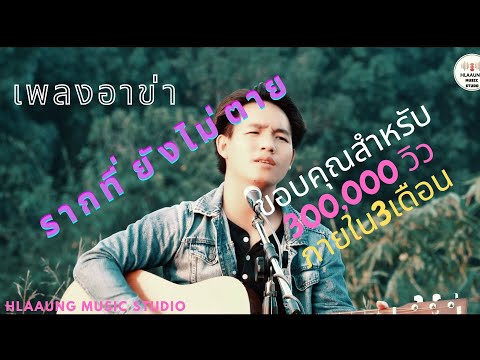 เพลงใหม่อ่าข่า - รากที่ยังไม่ตาย-hlaaung music  Studio