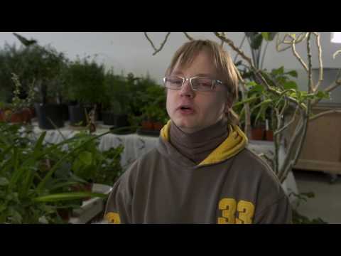 DEP | Horticulture et jardinerie
