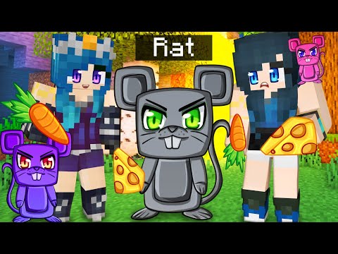 ItsFunneh - Taking care of CRAZY RATS in Minecraft!