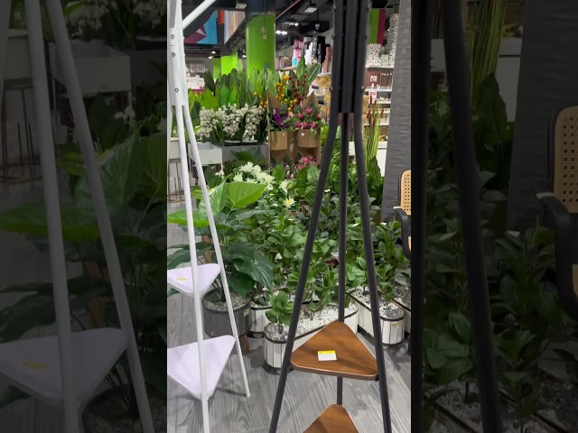 شماعة ملابس حديد ابيض مع رف خشب مثلث 2 دور