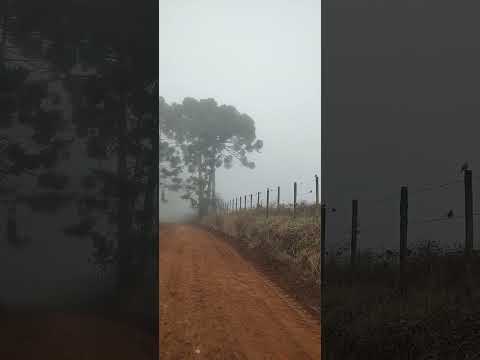 dia 11: Conceição das Pedras x Vargem Alegre