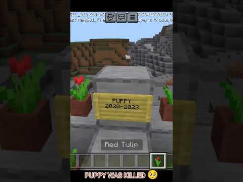Minecraft: Killing a Puppy for Views! #trending