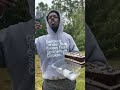 Falling iguanas in Florida