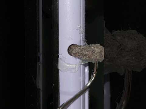 Cleaning Smartphone audio jack with hot glue ❌ #satisfying #asmr