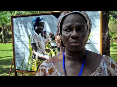 Interview with Madam Aminata SALL