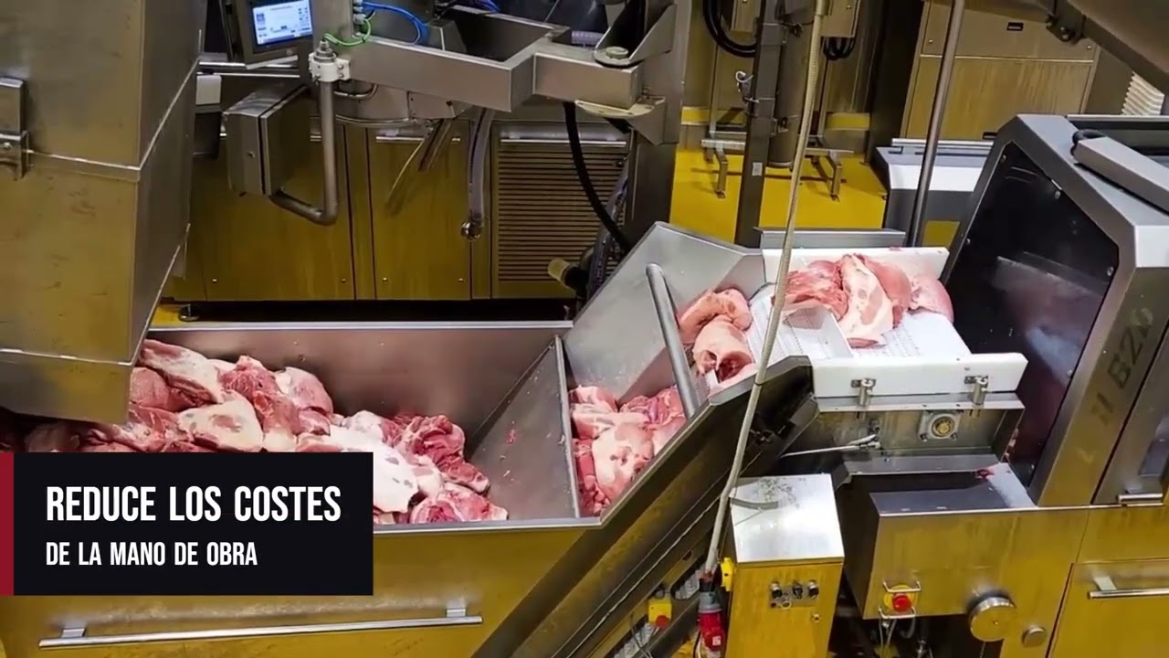 Vídeo alimentador automàtic GAF