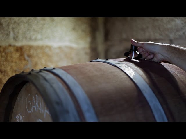 Vídeo relacionado con Historia crítica del vino español