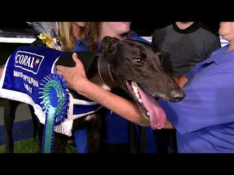 2021 ROMFORD PUPPY CUP FINAL - T2 BROOKSIDE RICHIE
