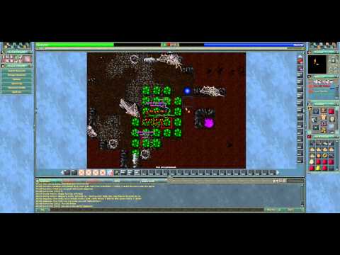 Tibia 101 EK, The Old Widow in Celesta