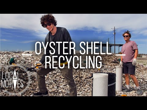 Saving Louisiana’s Coast with Recycled Oyster Shells