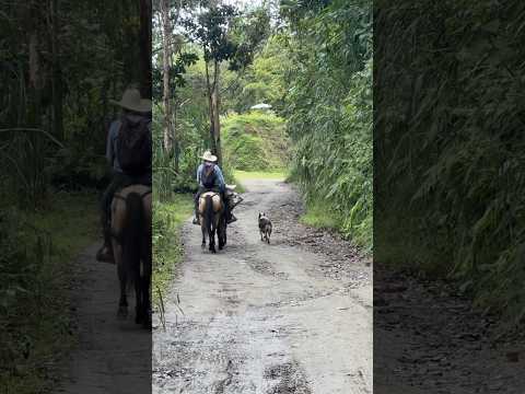 Paisajes del municipio de Herveo,recorrido sector la 20 #colombia #travel #paisajesextremos