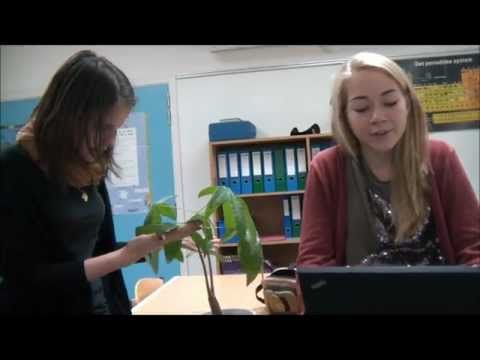 Film om stoffer til anja