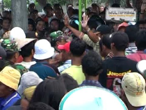 lilo - PANTURA 180707