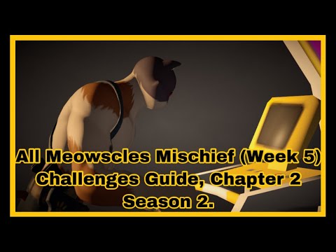 All Meowscles Mischief (Week 5) Challenges Guide, Chapter 2 Season 2.