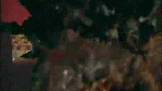 Actium Maximus Is Cool