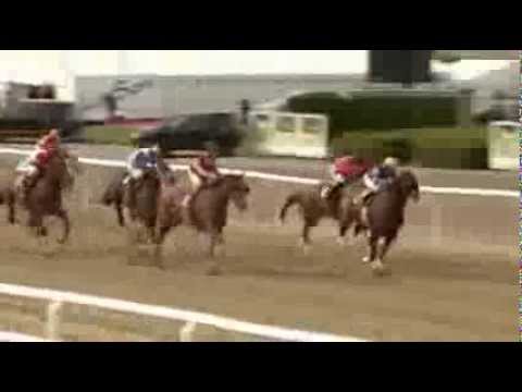 Primeiro brasileiro a vencer prova de Grupo na Europa, Verde Mar é tricampeão da Zawawi Cup (G.III)