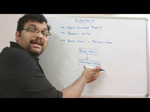 SINGLE INHERITANCE C PROGRAMMING