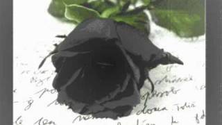 Of Longing And Otherness - Hannah Fury