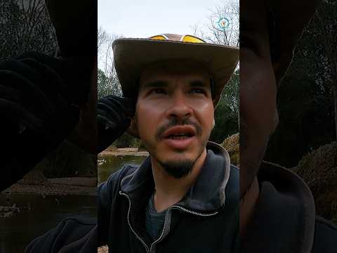 Próxima quarta, 20:00! Estreia do Diário de bordo para Boqueirão do Leão!