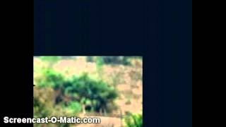 Lily (live cover) benjamin gibbard