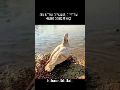 Elhamdülillah 🤲