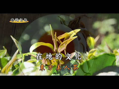 新竹在地文化-東方美人茶的由來(石川錄製)