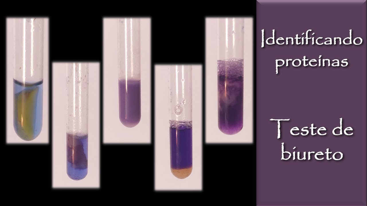Na prática #9 Identificação de proteínas - Teste de biureto