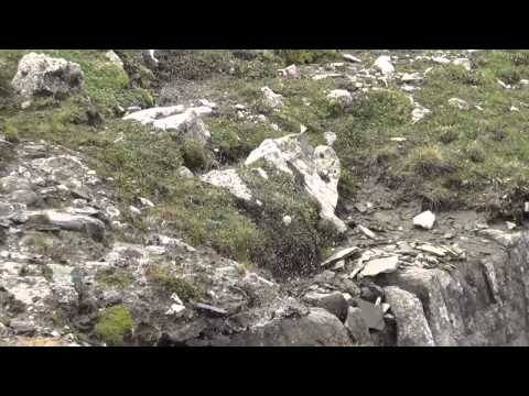 Cazare In Venus - Cazat.ro