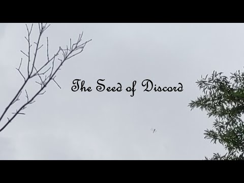The Seed of Discord (Part 6)