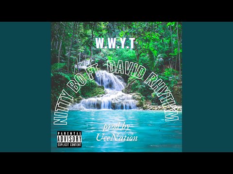 W.W.Y.T (feat. David Rhythm)