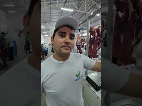 Carne bovina em Lagoa dos Gatos-PE