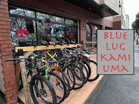 Blue Lug Bikeshop - Kamiuma Branch/Tokyo - Very Detailed Tour