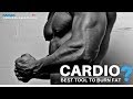 Cardio: Best Tool to Burn Fat?