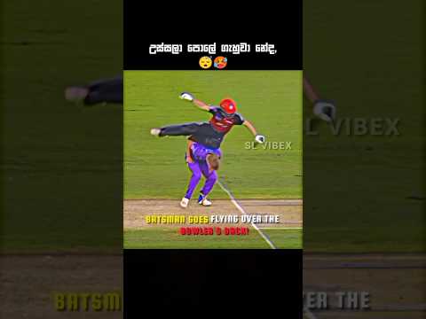 බැටා වැටුනු විදිහ🫣😔 | #cricket #cricketshorts #cricketlover