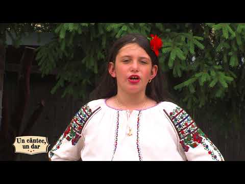 Gabriela Prejvana - Chipul sfânt al mamei mele