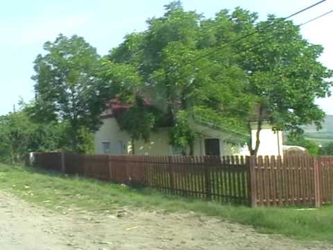 SATUL ULIES MURES PE ULITA SATULUI RACIUTVS2