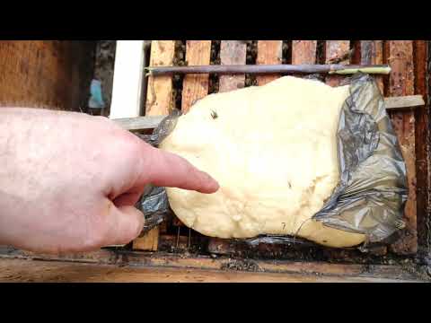 Зимовка пчёл.Спасаю пчёл даю канди и рамки с мёдом. #канди  #Пчеловодство