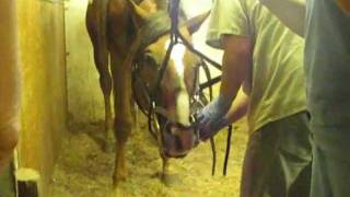 Floating Dasher's Teeth (Pt. 3/3)