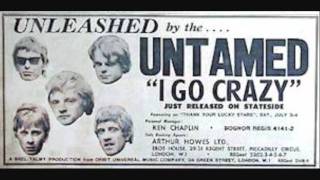 The Untamed - I'll Go Crazy - 1965 45rpm