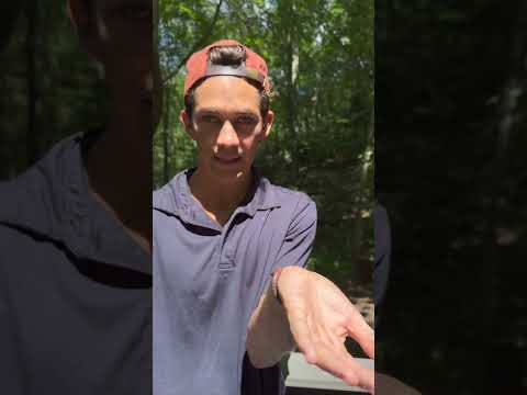 General Pest Treatment