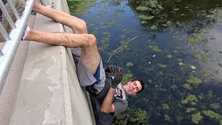 Feeding The Furry Turtle &amp; His 10 Friends UPSIDE DOWN! Funny Nature &amp; Fun Travel, Animals WEST US AZ