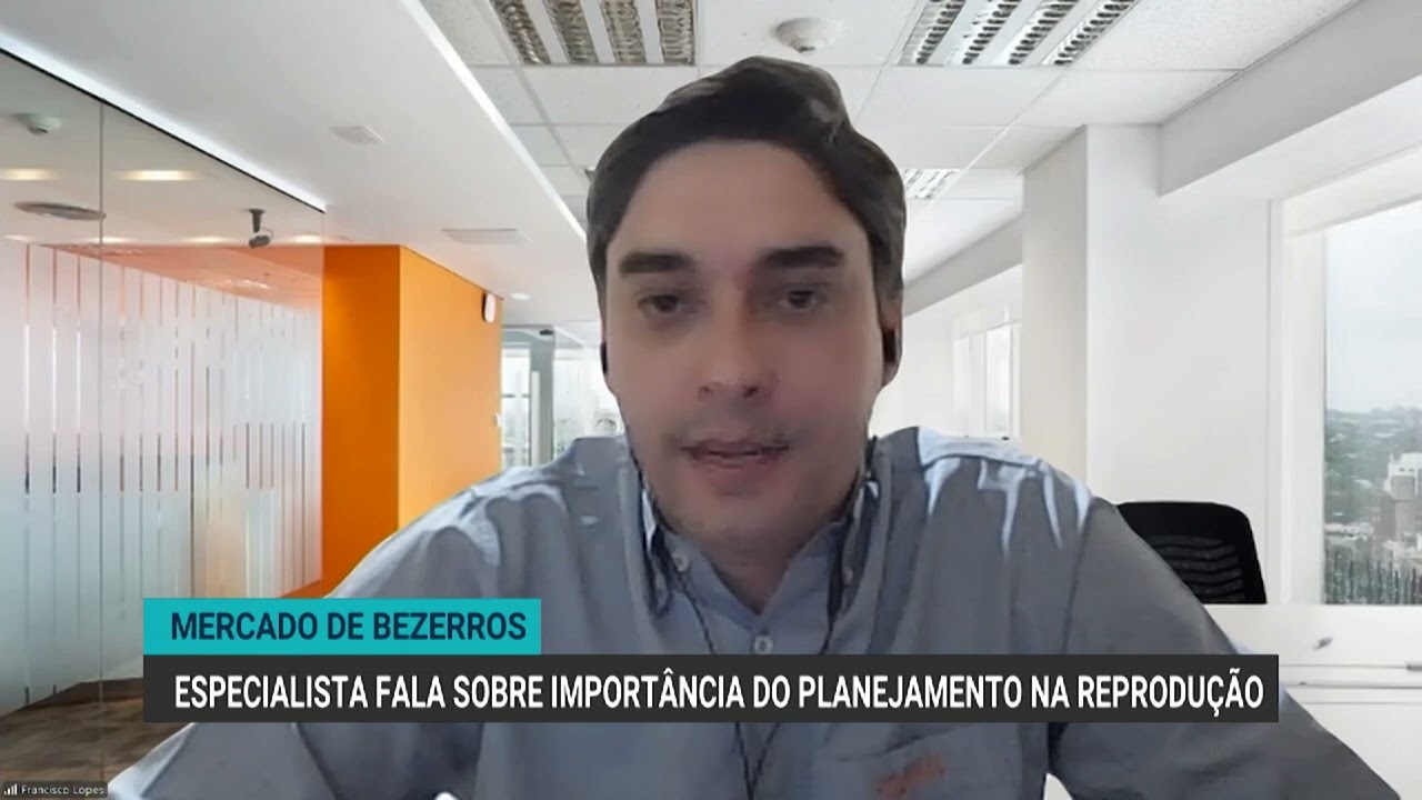 Mercado de bezerros em alta exige planejamento na reprodução