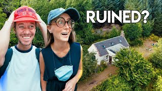 We Abandoned Our Cottage for 4 Months… and THIS Happened 😳