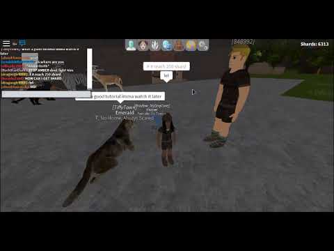 shard seekers- EASY WAYS TO GET SHARDS!