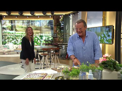 Skrattattacken efter sparrismissen: ”Jag kissar på mig” - Nyhetsmorgon (TV4)