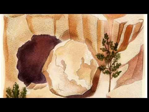 Rulla undan otrosstenen - Barbro Erling