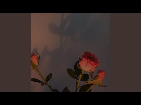 i lengdun ang - lofi cover