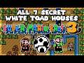 All 7 Secret White Toad Houses In Super Mario Bros 3 NES Super Nintendo Original Capture