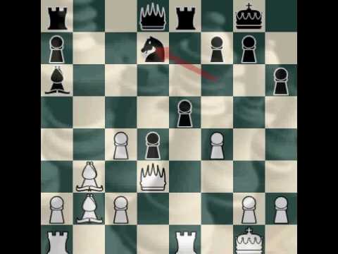Br41nNinja: Chess Match 39